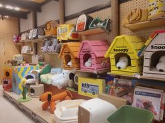 -帕帕拉兹宠物(亚洲旗舰店)