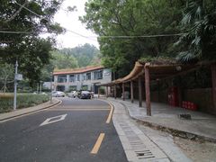 -银湖山郊野公园-相思林