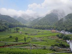 -龙坞茶村