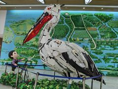 -同里国家湿地公园