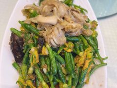 凉拌扇贝黄瓜苗-双井轩(双井店)