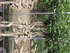 -南通洲际绿博园