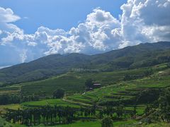 -牙胡梯田景区