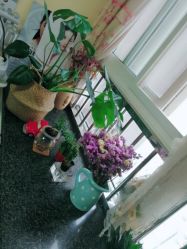 -美甲日记美睫专业纹绣半永久