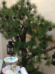 -芳朵美容养生SPA