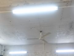 -噏耷茶档