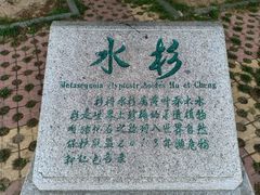 -鸭绿江中朝界河游船(1号观光码头)