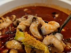 -蜀腾川·火锅鱼.烤鱼(新世界城店)