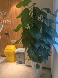 -Yestar宁波艺星整形医院