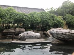 -河源客天下-温泉小镇