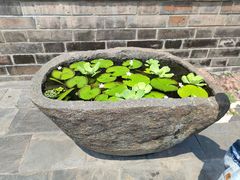 -长春观