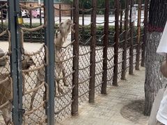 -保定市动物园