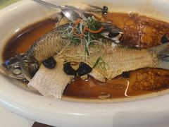 -陶缘一号·四季缘·老字号顺德菜·户外婚礼家宴(西滘店)