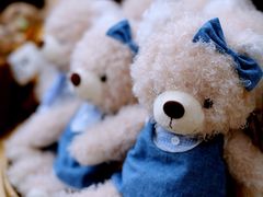 -济州岛泰迪熊博物馆