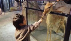 -酷嗒动物文化乐园(cutezoo西溪乐天城店)