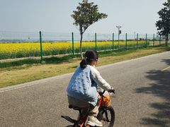 -阳澄湖半岛旅游度假区