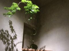 -陶享时光西餐·下午茶(信河街店)