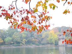 -紫霞湖公园
