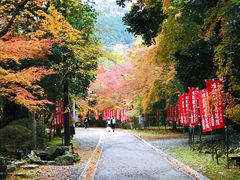 -醍醐寺
