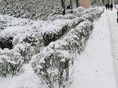 -满汉楼(江畔店)