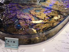 -澜悦港海鲜体验主题餐厅