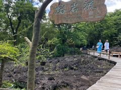 -海口火山口国家地质公园