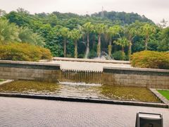 -南宁荔园维景国际酒店·荔园中餐厅