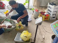 -马陆小张葡萄园农家乐