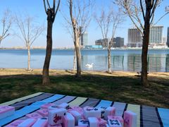 -北龙湖湿地公园