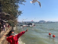 -滇池海埂公园