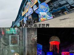 -泉城欧乐堡海洋极地世界