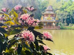 -曼听御花园