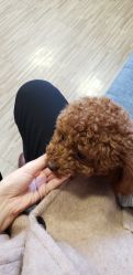 -JERRY日式美甲美睫纹绣工坊