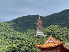 -深圳仙湖植物园