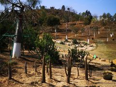 -东莞植物园