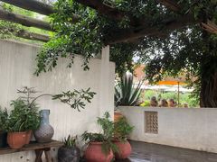 -悦哉·派对·草坪婚礼·围炉煮茶(三圣乡店)