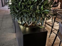 -星巴克臻选(北京前门大街店)