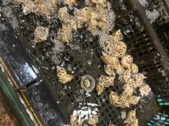 -东城食府·手工点心·37年老字号(虎门店)