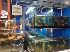 水产区-美味海鲜大排档(明发美食地标店)
