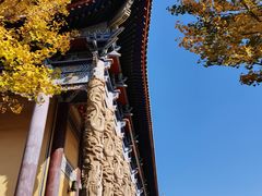 -正觉寺