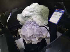 -中国地质大学逸夫博物馆