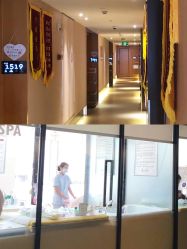 -明宇集团·积木枝芽母婴健康管理中心(天府店)