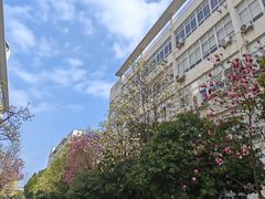 -大蜀山国家森林公园