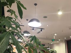 大堂-捷信牛奶甜品世家(五道口店)