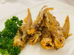 -老人和饭店(淮海中路店)