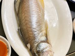 -吴记富苑(朝阳店)