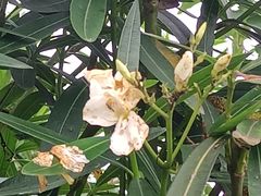 -千龙湖生态旅游度假区