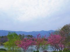 -雅达·阳羡溪山小镇中心