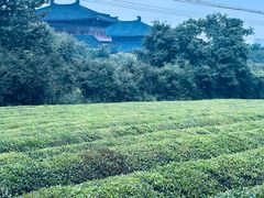 -敬亭山风景名胜区