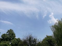 -胡家庙水果批发市场